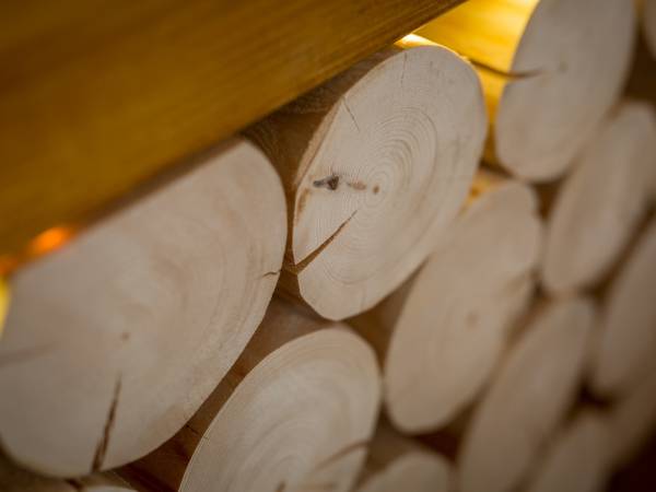 Domki i Apartamenty Skupniowy Upłaz