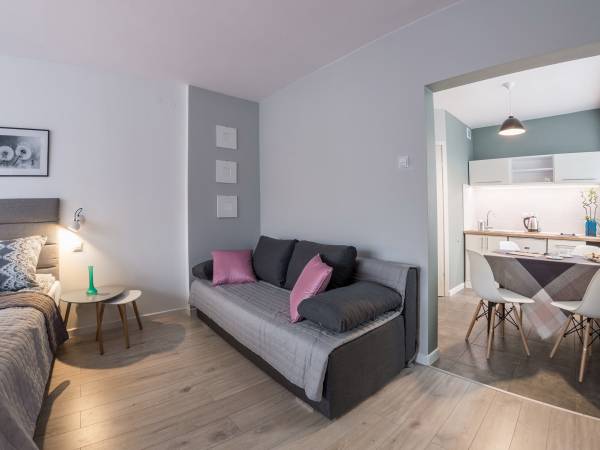 Apartament 1-pokojowy 2, 3-osobowy z własnym aneksem kuchennym.