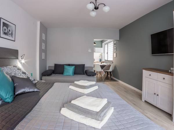 Apartament 1-pokojowy 2, 3-osobowy z własnym aneksem kuchennym.