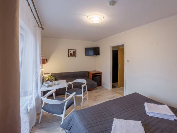 Pokój 2,3-osobowy z dodatkową sofą.