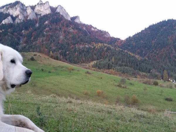 Pokoje Gościnne U Sobka