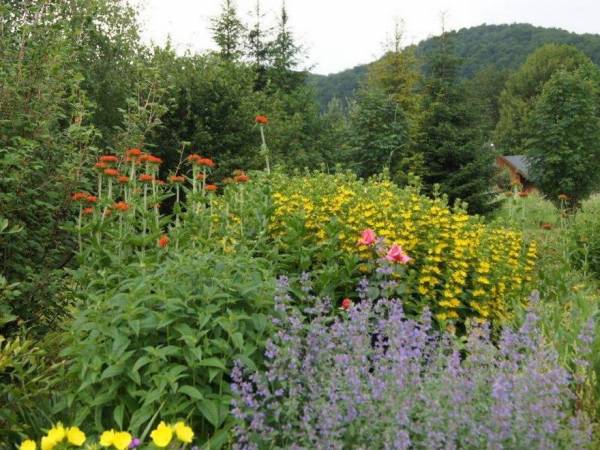 Domki Pod Jawornikiem