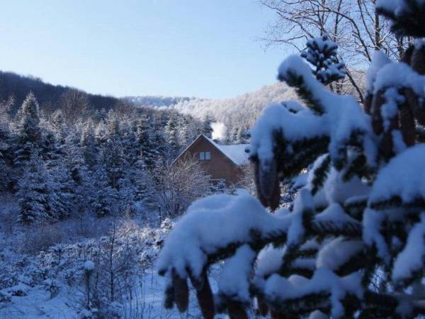 Domki Pod Jawornikiem