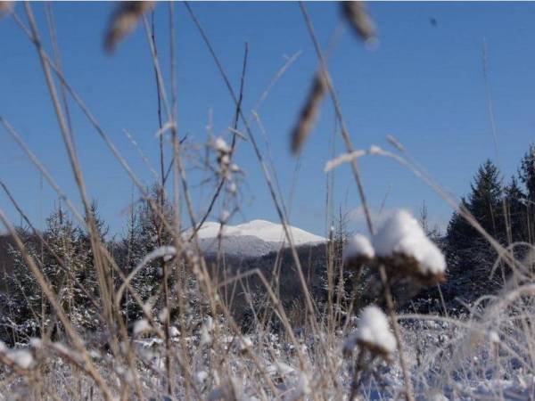 Domki Pod Jawornikiem