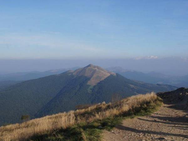 Domki Pod Jawornikiem