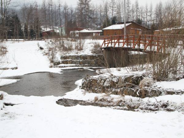Widok na rzeczkę 50m od domku