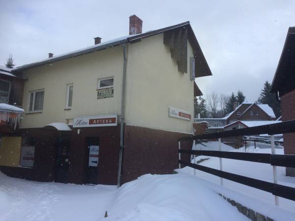 widok na budynek od ul. 1 Maja - LEWIATAN