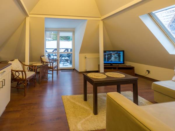 Apartament brązowy,dwupokojowy z aneksem kuchennym