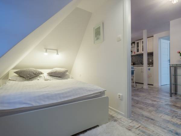 Apartament srebrny,dwupokojowy z aneksem kuchennym