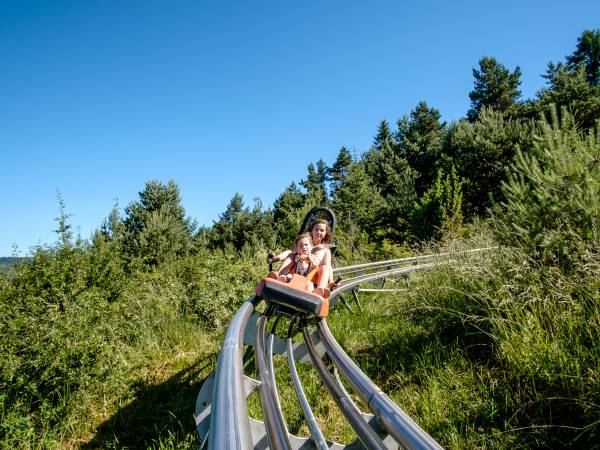 Zjazd torem to świetna zabawa