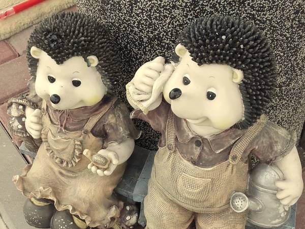 Pokoje gościnne Albatros