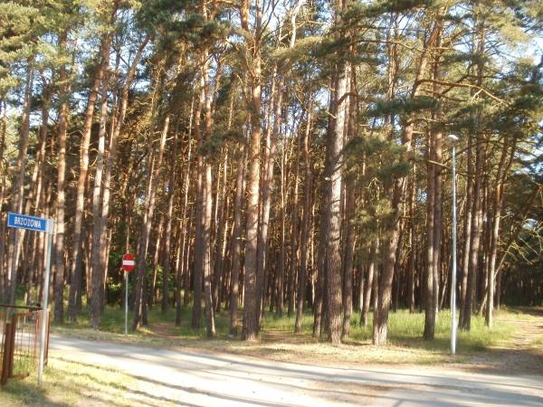 Przy ośrodku - spacerniak dla psów.