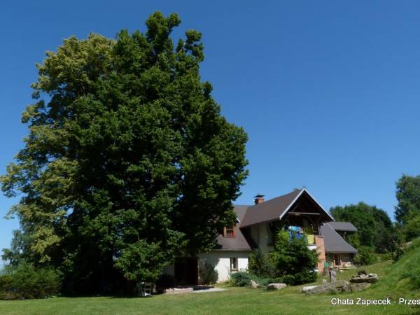 Chata Zapiecek