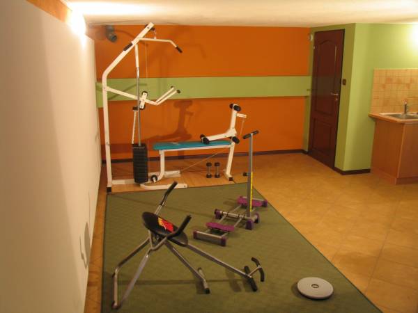 Klub - wejście od strony ogrodu -fitness