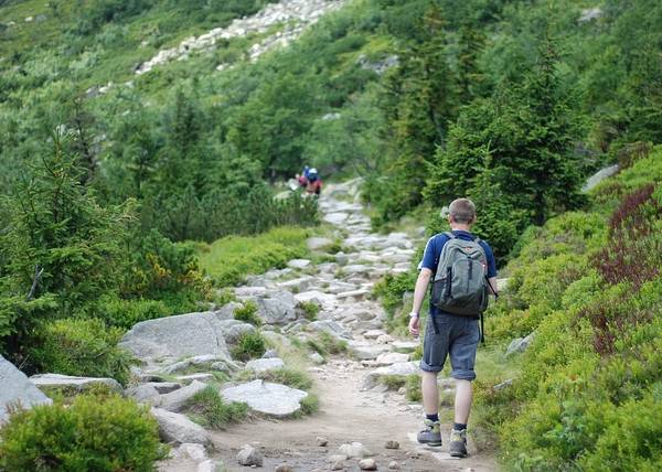 Rezydencja Piastowska