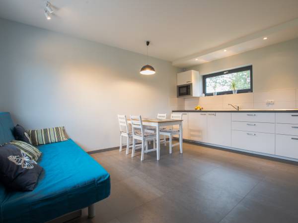 Domek wolnostojący- pokój dzienny z aneksem kuchennym