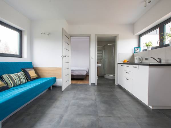 Apartament dwupokojowy- pokój dzienny z aneksem kuchennym