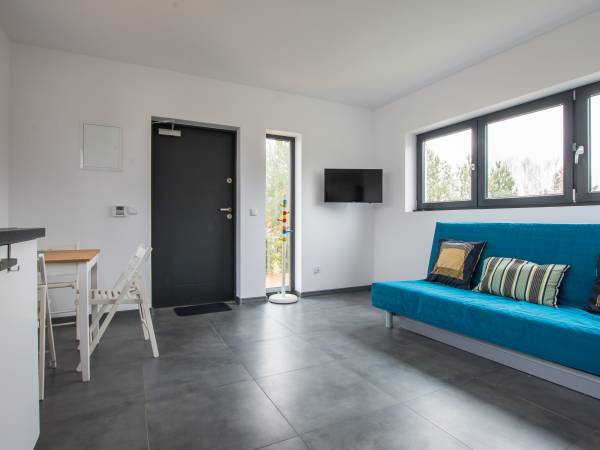 Apartament dwupokojowy- pokój dzienny