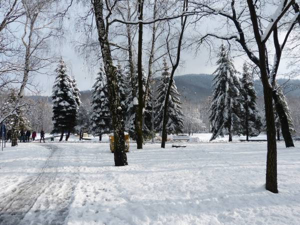 Pokoje i Apartament Asenata