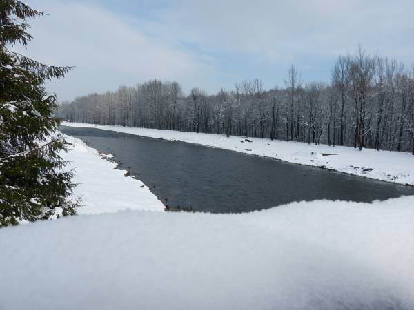 Pokoje i Apartament Asenata
