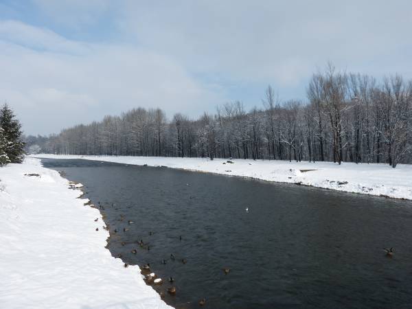 Pokoje i Apartament Asenata