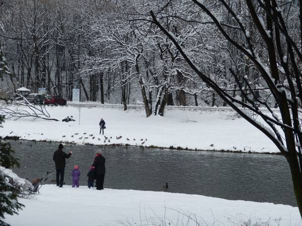 Pokoje i Apartament Asenata