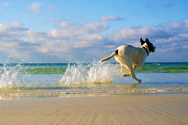 Ośrodek Wypoczynkowy Rusałka