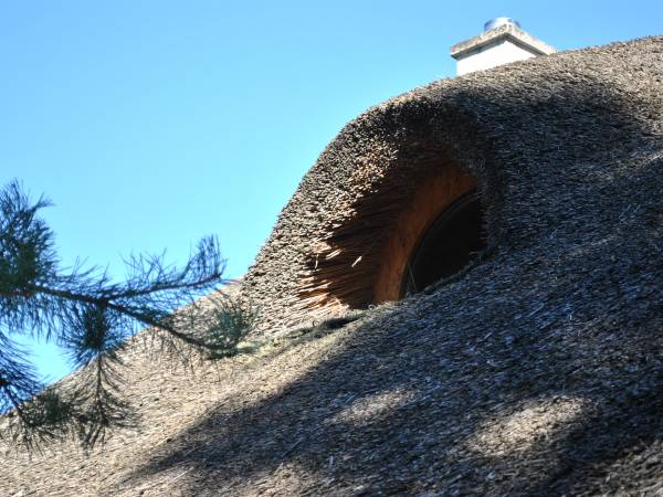 Agroturystyka Chata Toma