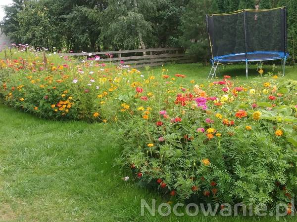 trampolina dla dzieci