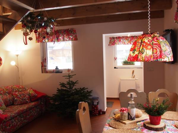 Pokój dzienny z aneksem