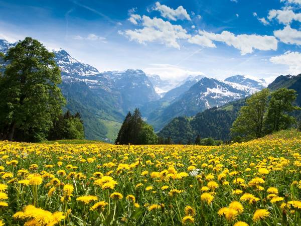 Tatrzański Bór Apartamenty 