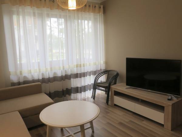 Salon w apartamencie typu B