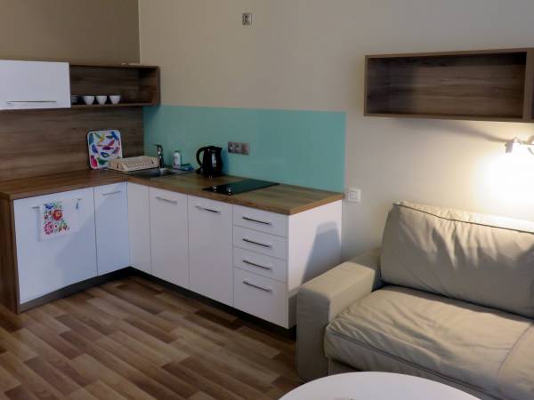 Aneks kuchenny połączony z salonem w apartamencie typu A