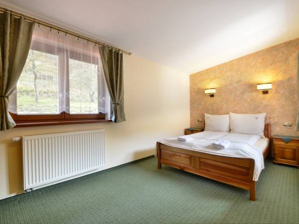 Willa Róż w Międzygórzu