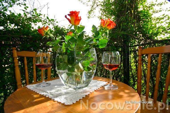 Dom Gościnny Albertus