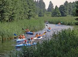 spływy Czarną Hańczą