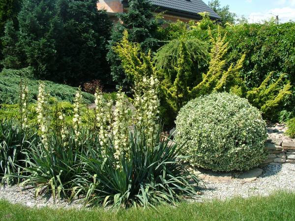 Leśna Przystań w Uniejowie