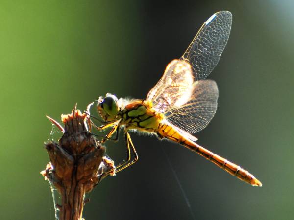Agroturystyka nad Jeziorem Białym