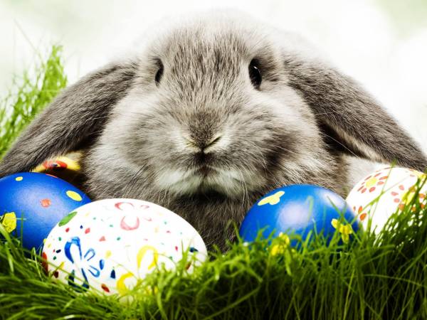 Willa Górska Dolina Jacuzzi & Sauna