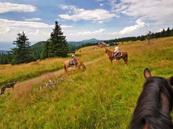 fot. Marzena Józefczyk