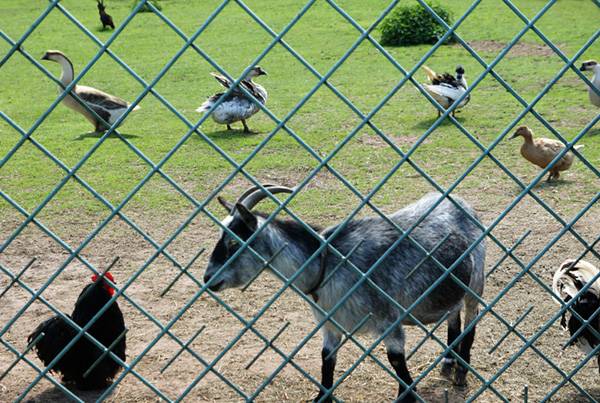 Agroturystyka Daleko od Szosy