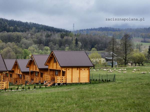 Całoroczne Domki Zaciszna Polana 