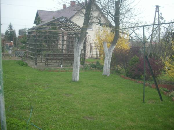 przestronny ogrod z drewniana altanka