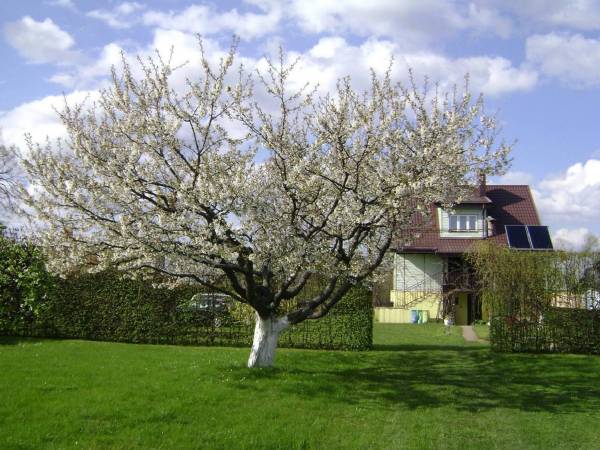 Nocleg u Kołodzieja