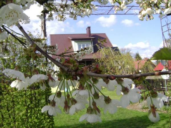 Nocleg u Kołodzieja