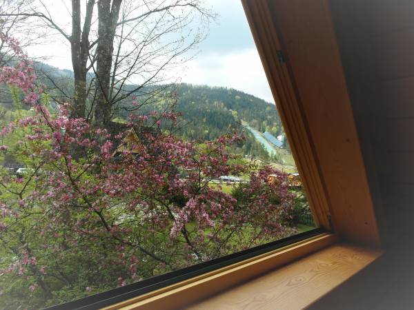 domek widok z sypialni