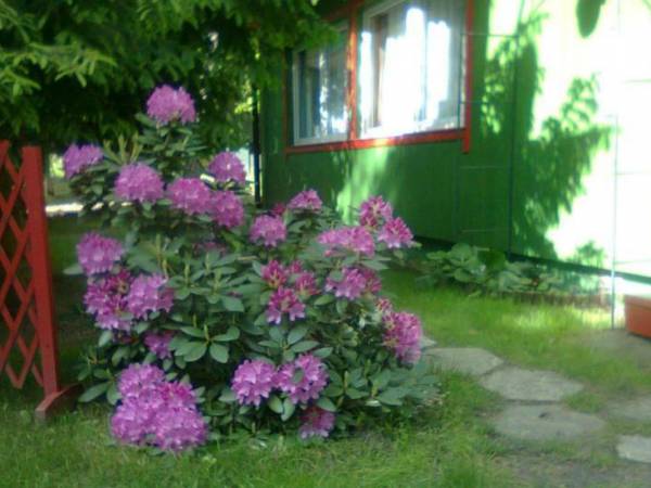 Ośrodek wypoczynkowy Silena