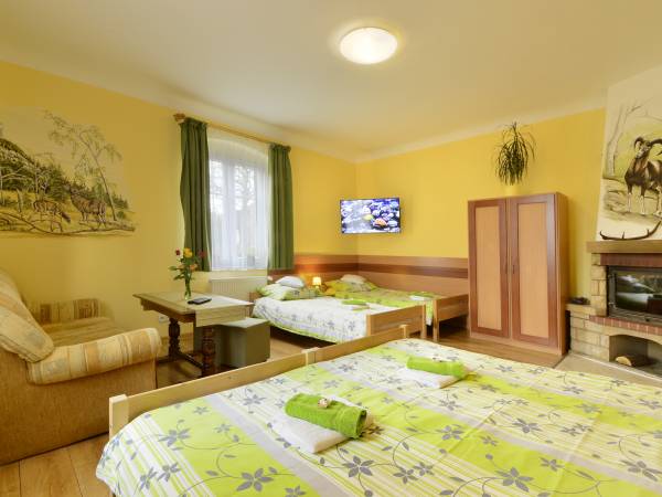 Apartament Kominkowy