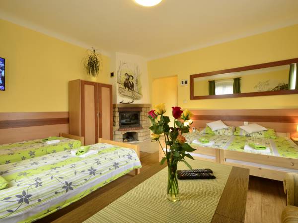 Apartament Kominkowy