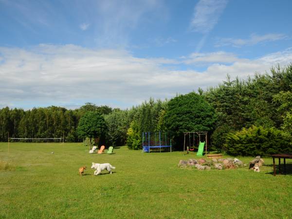 Atrakcje w naszym ogrodzie